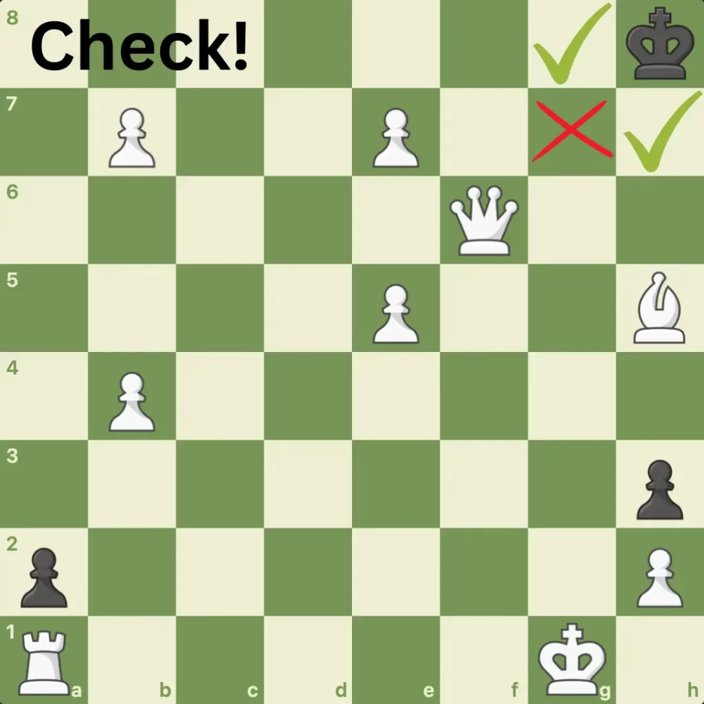 Difference between check and checkmate